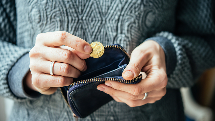 insight-coin-purse-746-419.png