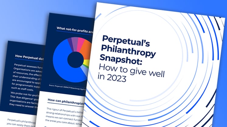 perpetuals-philanthropy-snapshot-746-419.jpg