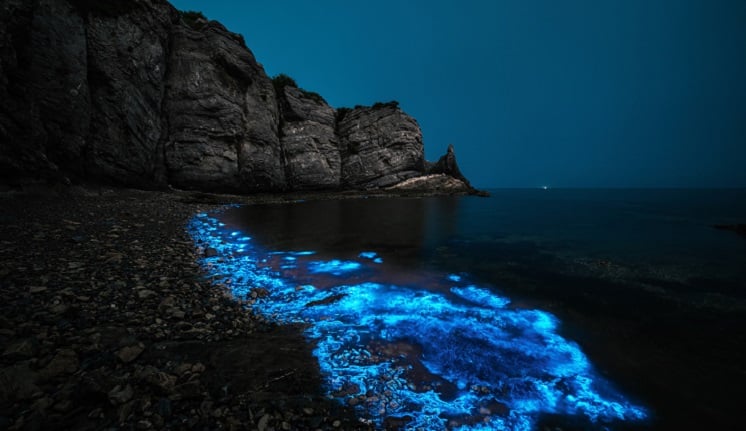 beach-bioluminescence-746-419.jpg