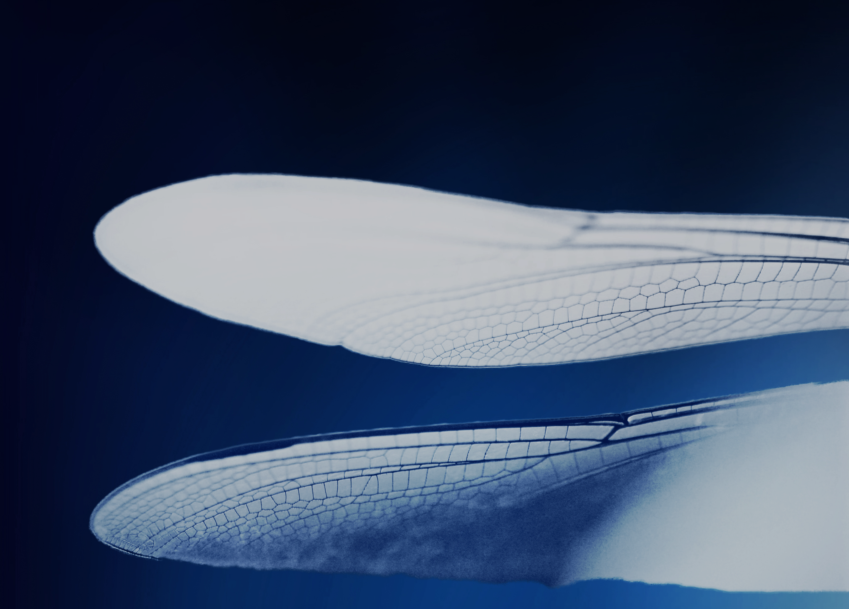 Solutions for advisers and institutions