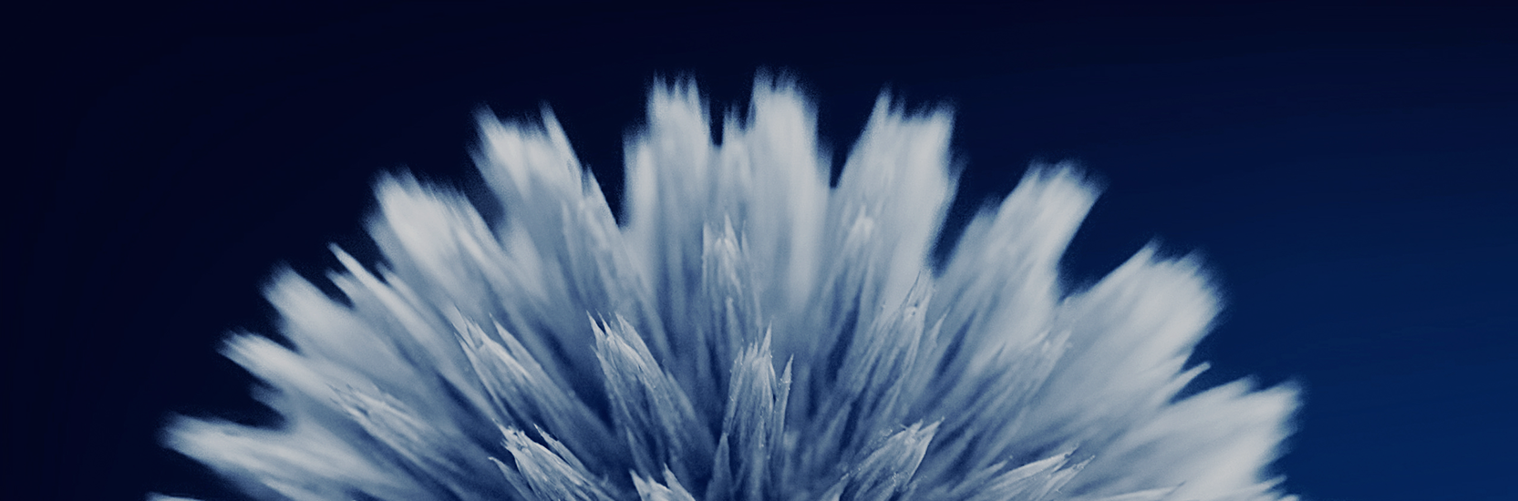 banner-hero-trustee-services-2-1665-400.png