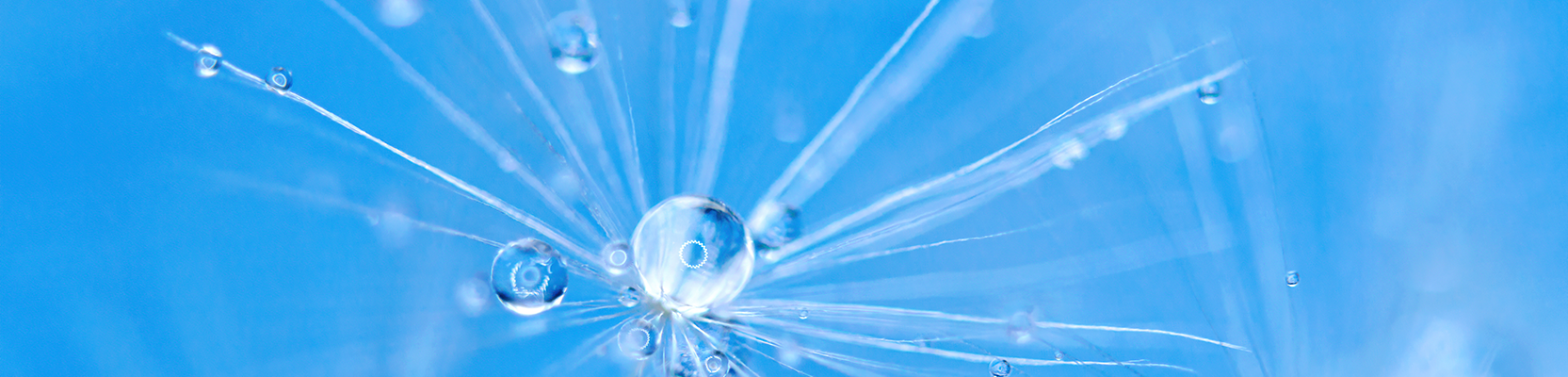 Perpetual Pure Microcap Fund - Class A