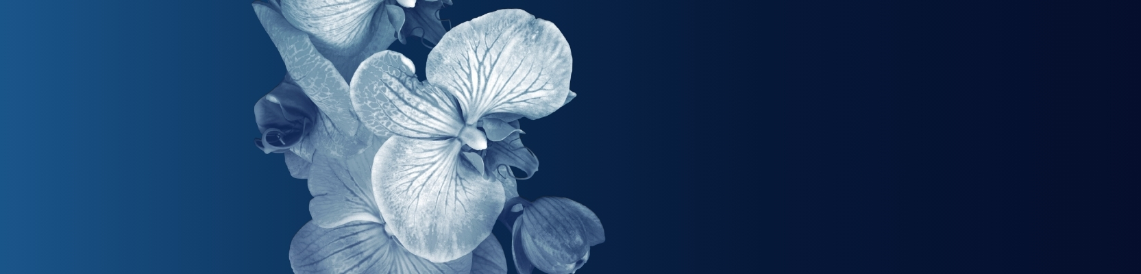 Womens Edge Group Website banner.jpg