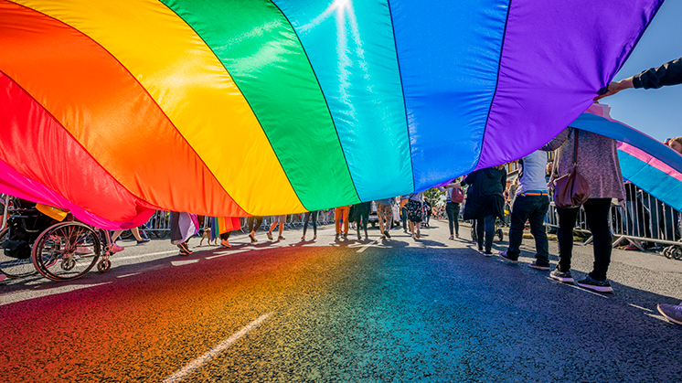 case-study-supporting-lgbt-communities-746-419.png