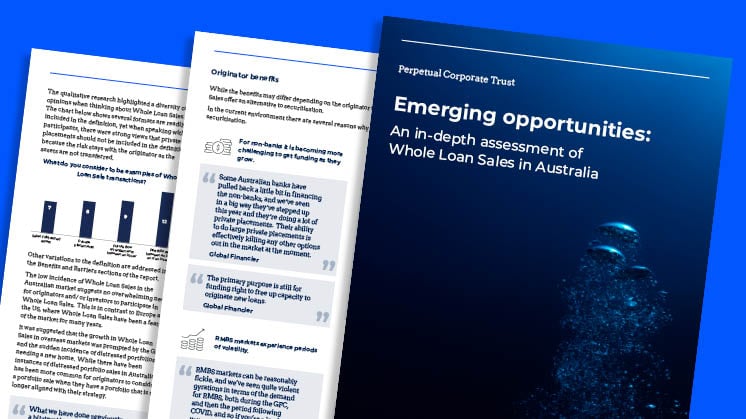62555 EMERGING OPPORTUNITIES REPORT BANNER 2nd KIND.jpg